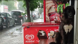 Ardahanda etkili olan sağanak, hayatı olumsuz etkiliyor