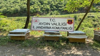 Arı kovanı hırsızları yakalandı