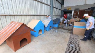 Atık malzemeler sokak hayvanlarına yuva oluyor