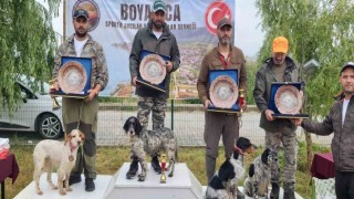 Avcı köpekler ilk sırayı almak için yarıştı