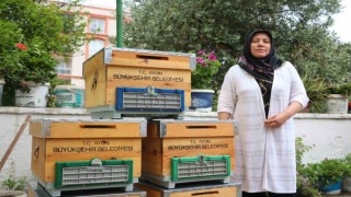 Aydın Büyükşehir Belediyesinden kadın arıcılara kovan desteği