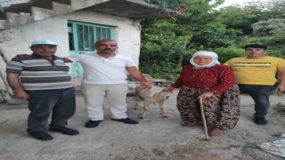 Aydın Ülkü Ocakları şehit ailelerini unutmadı