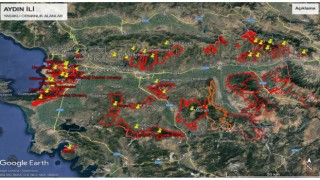 Aydında ormanlık alanlara izinsiz girilemeyecek