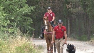Aydosta atlı polisler bayramda devriye gezdi