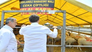 Bahçelievler Belediyesi Kurban Bayramı hazırlıklarını tamamladı