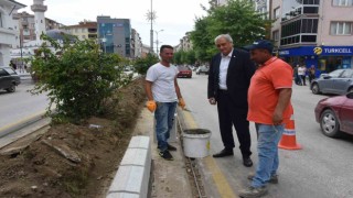 Başkan Bakkalcıoğlu çalışmaları inceledi