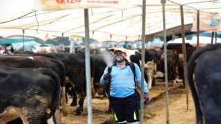 Bayraklı Belediyesi Kurban Bayramına hazır