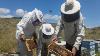 Bayramı aileleri yerine arılarının yanında geçiriyorlar