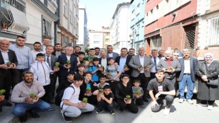 Bayrampaşada 50 bin fesleğen dağıtılacak