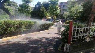 Bayrampaşada ilaçlama çalışmaları başladı