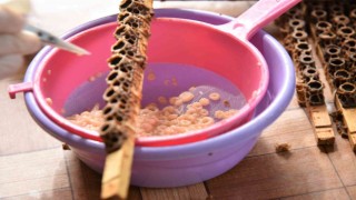 Beyaz altının kilosu 15 bin liradan satılıyor