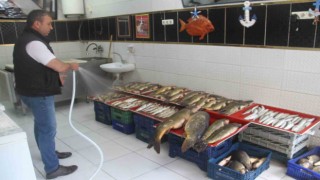 Beyşehir Gölünde av sezonu açıldı, balıklar tezgahları süsledi