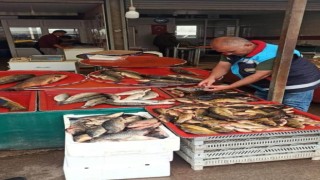 Beyşehirde balık boy denetimleri