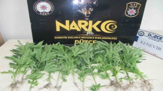 Binanın terasına uyuşturucu ekmiş