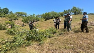 Bingölde aşılama çalışması yapıldı