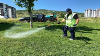 Bozüyükte haşere mücadelesi kene ilaçlaması ile sürüyor