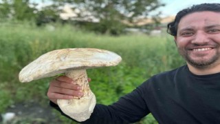Burdurda 2 kiloluk dev mantar görenleri şaşırttı