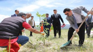 Burdurda yeni cezaevi kampüsünde fidan dikim etkinliği düzenlendi