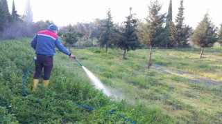 Burhaniyede Mezarlıklar bayrama hazırlanıyor