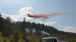 Bursa Valiliği, ormanlarda ateş yakmayı yasakladı