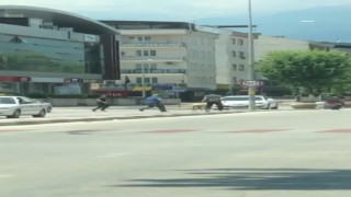 Bursada sahibinden kaçan koyun trafiği birbirine kattı