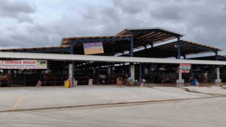 Bursada şap hastalığı kontrol altına alındı