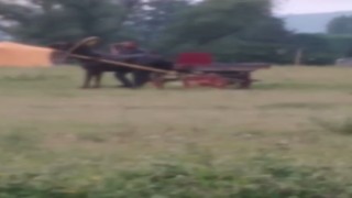 Bursada yürekleri sızlatan görüntü...Kendisini çeken ata böyle işkence yaptı