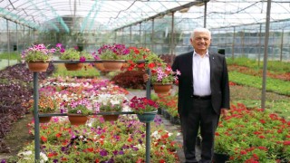 Büyükşehir destekliyor, Muğlanın kadınları çiçek üretiyor
