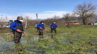 Büyükşehir ekiplerinden yağmurlar sonrası vektörle mücadele