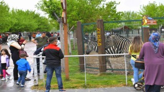 Büyükşehir Hayvanat Bahçesi Kurban Bayramında ücretsiz