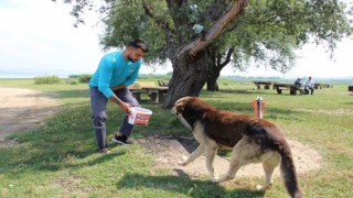 Bayramda sokak hayvanları unutulmadı