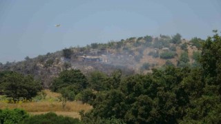 Çanakkalede zirai alan yangınında 35 dönüm alan zarar gördü