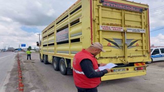 Canlı hayvan sevkiyatının hızlandığı bölgelerde denetim yapıldı