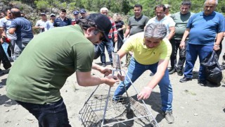 Caretta carettaların yuva çevresine güvenlik amacıyla kafes yerleştirildi