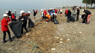 Caretta Carettaların yuva yaptığı sahilde temizlik yapıldı