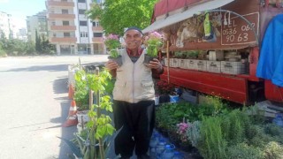 Çiçekçi dede, kendi yetiştirdiği fidelerle ekonomik gelir elde ediyor