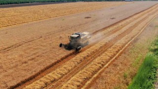 Cumhurbaşkanı Erdoğanın buğday fiyatı açıklaması Adanalı üreticileri sevindirdi