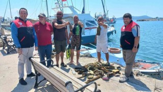 Cunda Adasında deniz dibi temizliği yaptılar