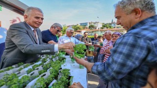 Denizli fesleğen kokacak