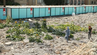 Deprem Bölgesindeki Konteyner Çarşısında Bitkiler Filizlendi