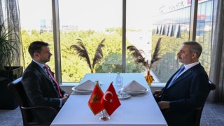 Bakan Hakan Fidan, Miltovic'le bir araya geldi