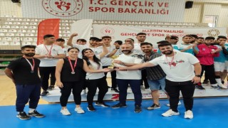 Diyarbakır Sportif Faaliyetleri Erkek Hentbol Takımı, 2. Lige çıktı