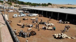 Diyarbakırda kurban satış ve kesim yerleri belirlendi