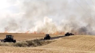 Diyarbakırda yaklaşık bin dönümlük buğday tarlası küle döndü