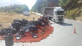 Domates yüklü tırın yükü yan yattı