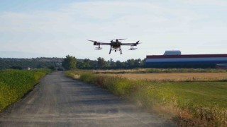 Dron ile sinek öldürüyorlar