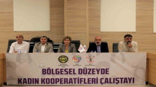 DTSO, kadın kooperatifleri çalıştay raporunu açıkladı
