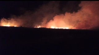 Düşen yıldırım buğday tarlasını yaktı