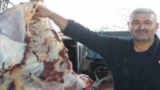 Edirnede kasapların kurban kesim mesaisi sürüyor