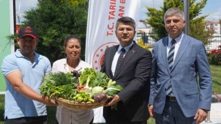 Edirnede örtü altı tarımla üretilen ürünler İstanbul pazarında alıcı bulacak